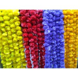 Combo of 60 assorted color marigold garlands