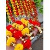 10 String Handmade Boho Decor Rainbow Pom Pom Garland (Red Yellow)