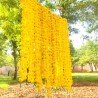 50 Fresh like artificial yellow marigold flower string party backdrop, Indian wedding decorations, 5 feet flower garland