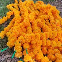 10 Fresh like artificial mango marigold flower string party backdrop, Indian wedding decorations, 5 feet flower garland