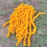 10 Fresh like artificial mango marigold flower string party backdrop, Indian wedding decorations, 5 feet flower garland