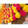 20 pcs Fresh Like Real Look Artificial Marigold Color Fusion Flower Strings Indian Decoration Wedding Home Decor, 5 feet approx