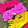 Fresh Like Real Look Artificial Marigold Flower Strings Indian Decoration Wedding Home Decor, 5 feet approx